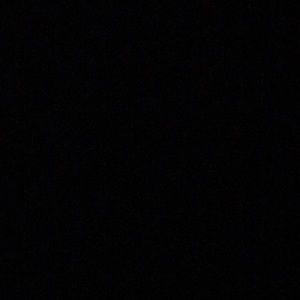 Meet your Posher, Poppy